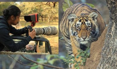 Robin Karyeth urges mankind to stop the killing and trafficking of tigers