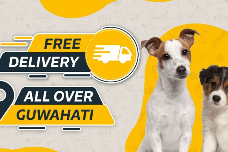 Let’s know about a unique organisation: PetScribe. - The Daily Beat ...