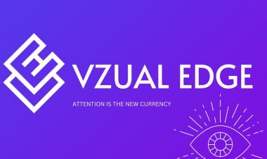 Vzual Edge is making its way as a social media management and marketing company