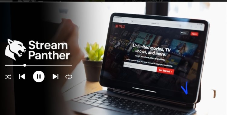 What Secrets Are Streaming Stars Spilling on The Stream Panther ?