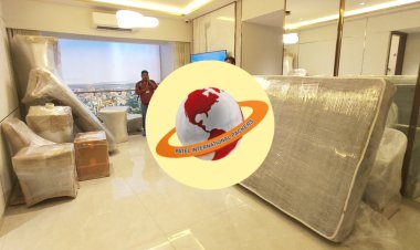 Patel International Packers and Movers Sets New Standards in Safe and Stress-Free Relocation Services