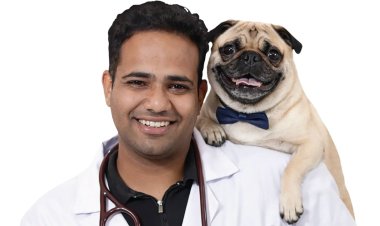 India Will Have 43 Million Pet Dogs Next Year. Most of Them Still Won’t Eat Proper Pet Food.