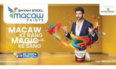 Macaw Paints Turns Kartik Aaryan into ‘The Macaw Genie’, Granting Home Makeover Wishes in Its Biggest Upcoming Festive Campaign